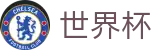 国际足联世界杯官方服务大厅 - 官方指定平台